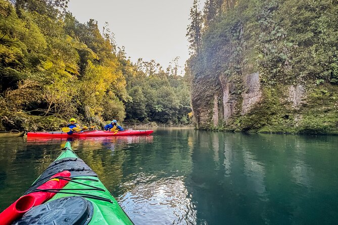 Scenic Lake McLaren Kayak Tour - Inclusions