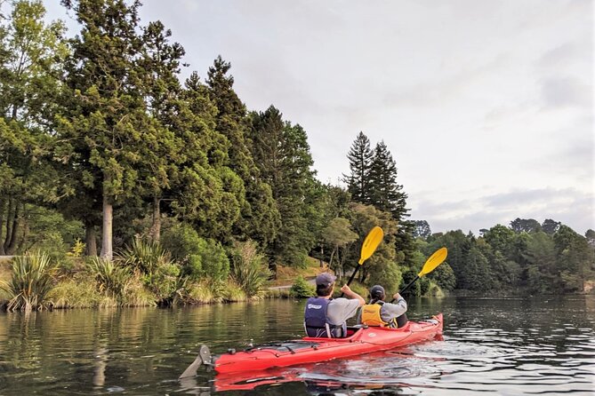 Scenic Lake McLaren Kayak Tour - Kayak Equipment and Safety