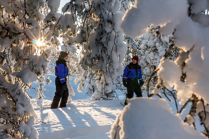 Scenic Levi Snowshoe Trip - Good To Know