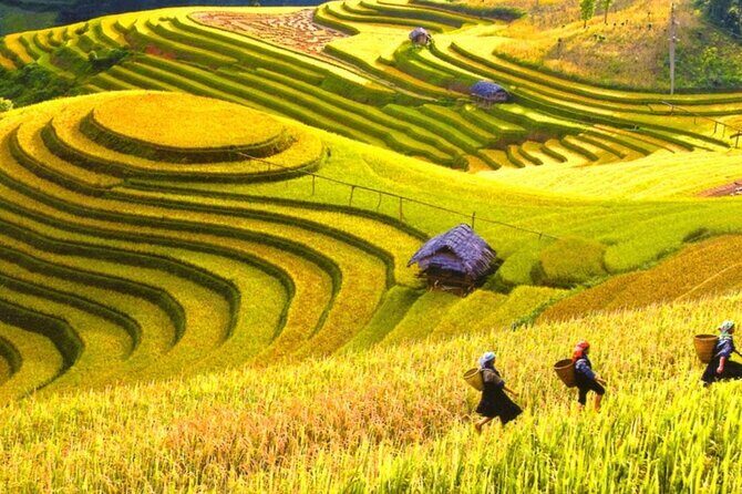 Scenic Mai Chau Full Day Group Tour - FAQ