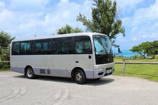 Scenic Mini Bus Tour in Bermuda - Who This Tour Is Best For