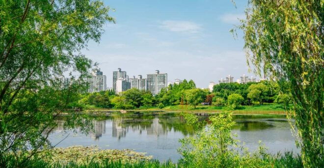 Scenic & Modern Wonders of Goyang-si: A Full-Day Tour - Ilsan Lake Park Experience