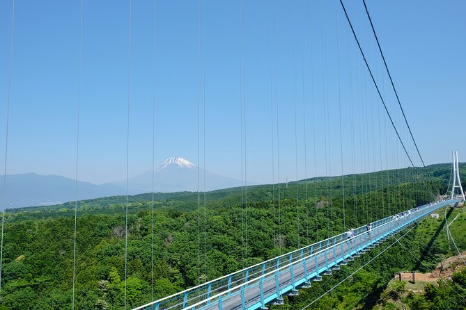 Scenic Mt.Fuji and Hakone : Owakudani , Skywalk & Yumeno Ohashi - Transportation and Meeting Details