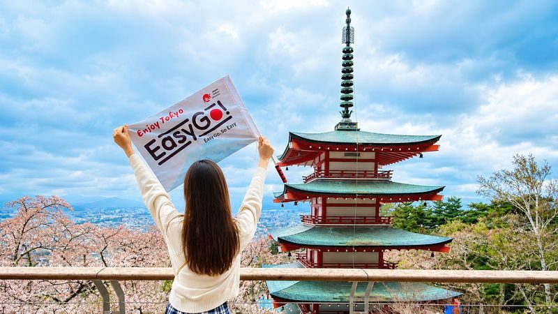 Scenic Mt. Fuji Day Tour from Tokyo: 5th Station, Matcha Experience - What the guide and bus add to the day