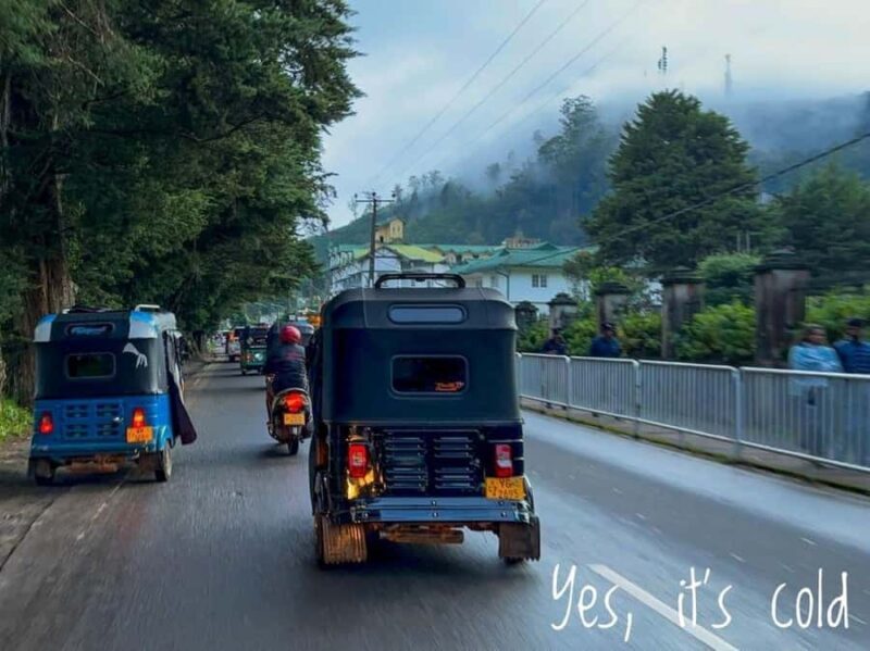 Scenic Nuwara Eliya Tuk Tuk Adventure - Good To Know