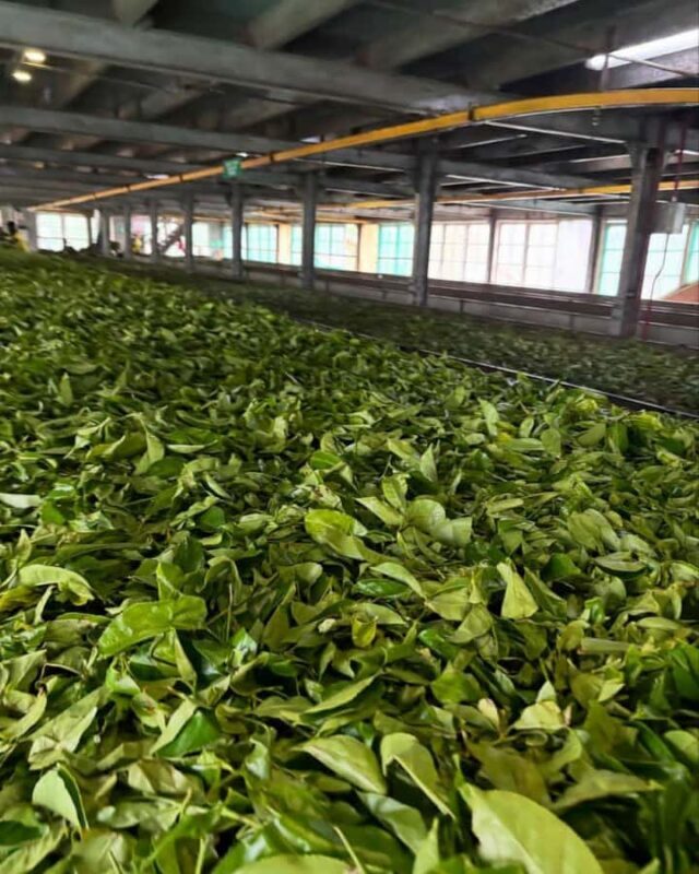 Scenic Nuwara Eliya Tuk Tuk Adventure - Frequently Asked Questions (FAQ)