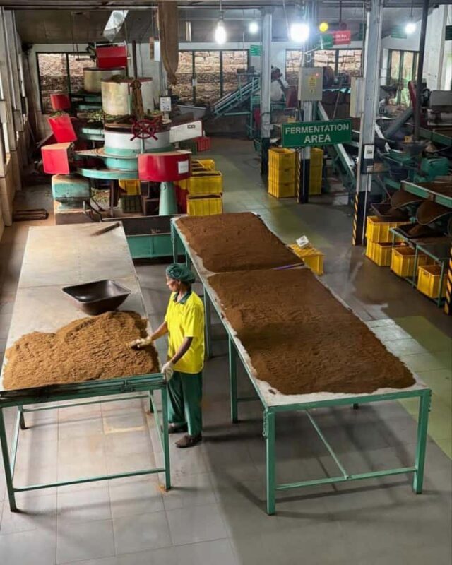 Scenic Nuwara Eliya Tuk Tuk Adventure - Final Thoughts