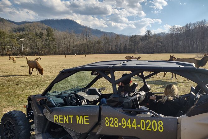 Scenic Off Road ECO UTV Adventure Group of 4 Guests - Common Questions