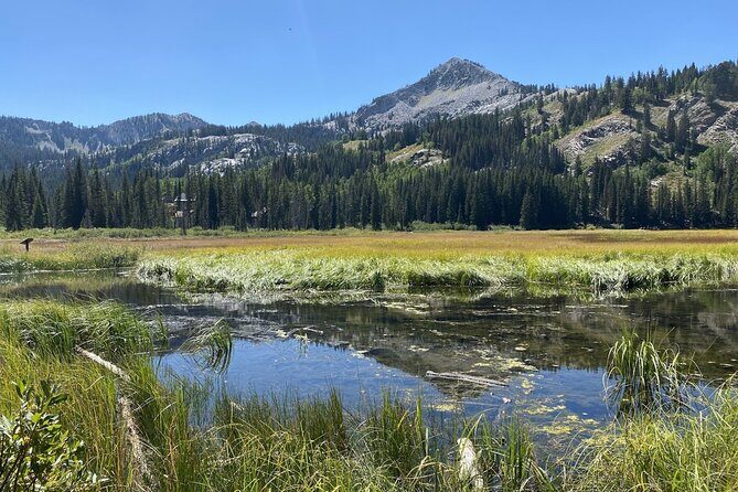 Scenic Park City Tour via Big Cottonwood Canyon - The Sum Up