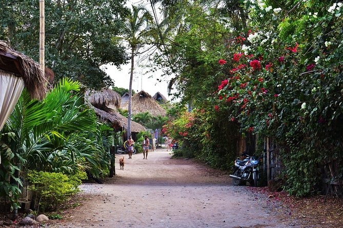 Scenic Private Ride: Santa Marta to Palomino - Service Overview