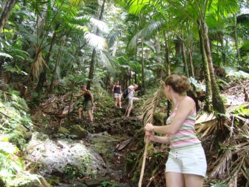Scenic Rainforest Hike & Snacks - FAQs