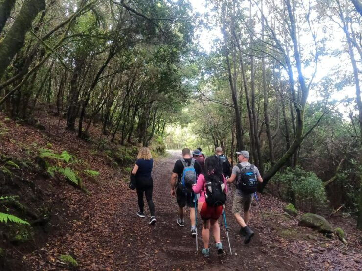 Scenic Route: Altos De Masca - Booking Information