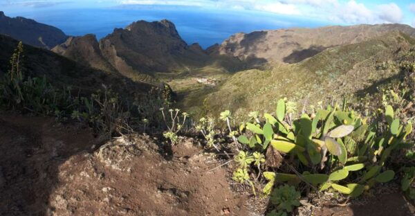 Scenic Route: Altos De Masca - Nearby Amenities