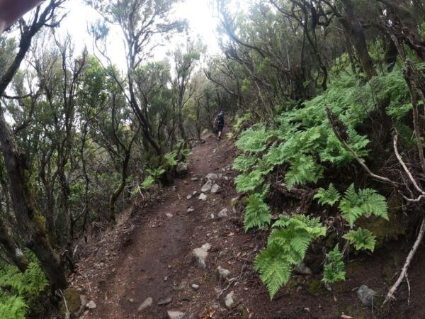 Scenic Route: Altos De Masca - Frequently Asked Questions
