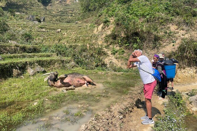 Scenic Sapa Trek: Explore Rice Terraces, Ethnic Minority Villages - Analysis of Value and Overall Experience