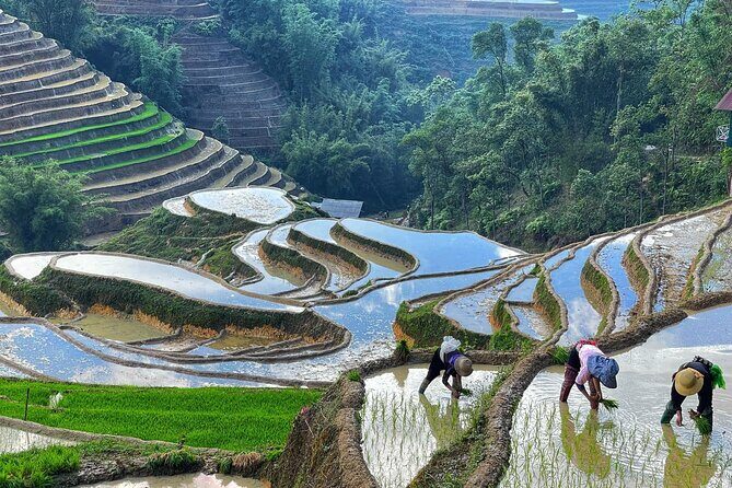 Scenic Sapa Trek: Explore Rice Terraces, Ethnic Minority Villages - Who Might Want More?