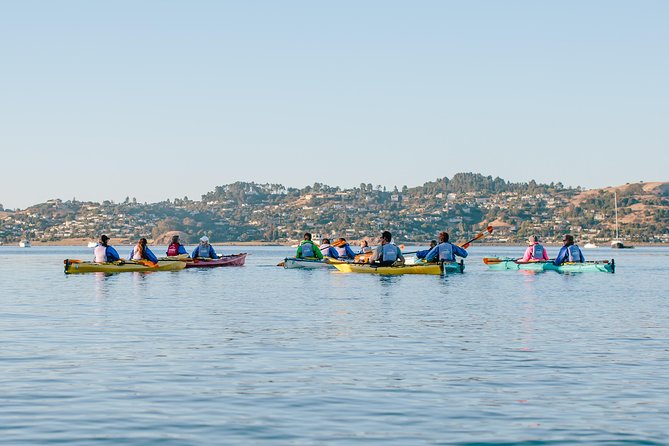 Scenic Sausalito Kayak Tour: Beginners Welcome - Tour Overview and Highlights