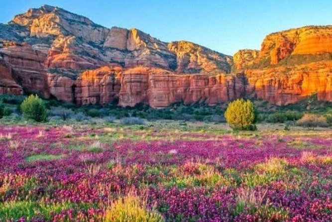 Scenic Sedona Tour - Knowledgeable Guides