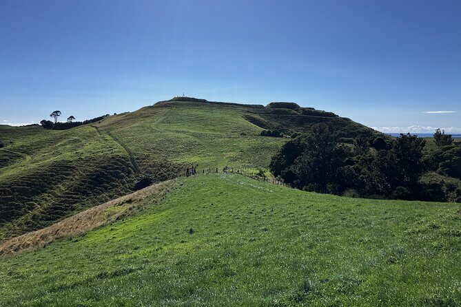 Scenic Short Hike Tour - Papamoa Hills and McLaren Falls - Why This Tour Works for You