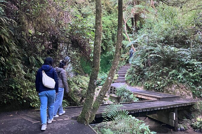 Scenic Short Hike Tour - Papamoa Hills and McLaren Falls - Summary: Who Should Consider This Tour?