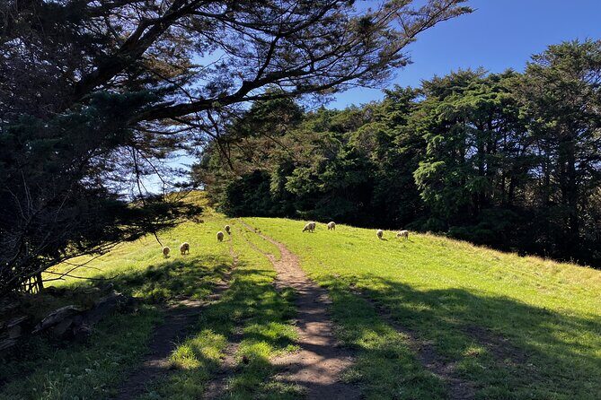 Scenic Short Hike Tour - Papamoa Hills and McLaren Falls - Frequently Asked Questions