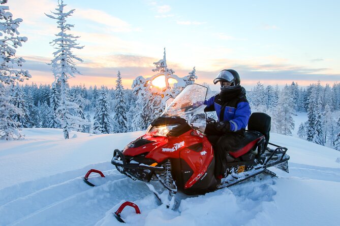 Scenic Snowmobile Safari in Saariselkä - Good To Know