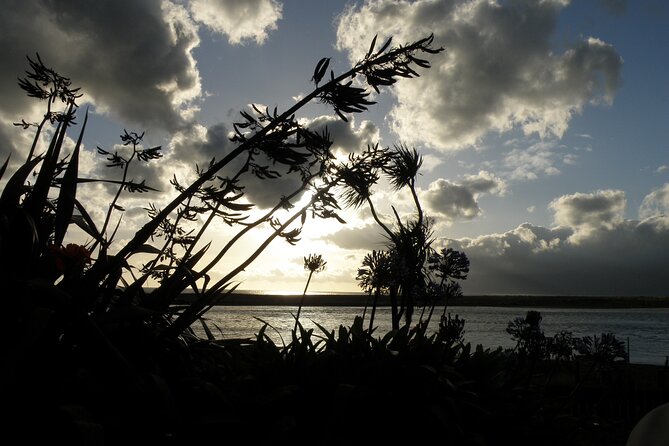 Scenic South Wairarapa Full Day Tour From Wellington - Traveler Reviews