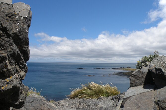 Scenic South Wairarapa Full Day Tour From Wellington - Price