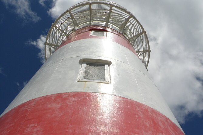 Scenic South Wairarapa Full Day Tour From Wellington - Additional Information