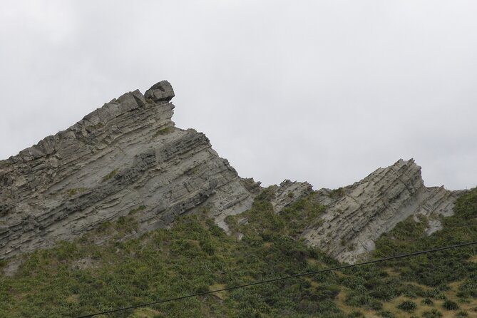 Scenic South Wairarapa Full Day Tour From Wellington - Pick-up Locations