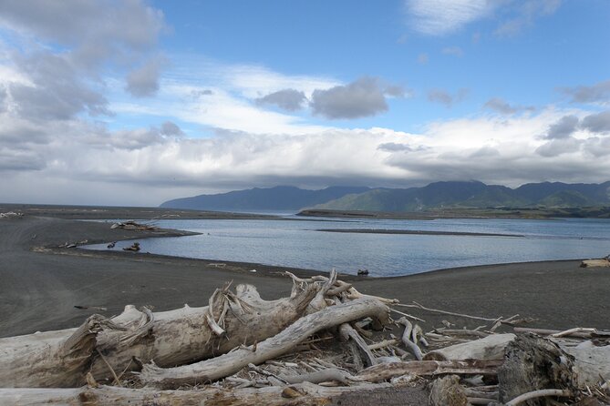 Scenic South Wairarapa Full Day Tour From Wellington - Traveler Photos and Assistance