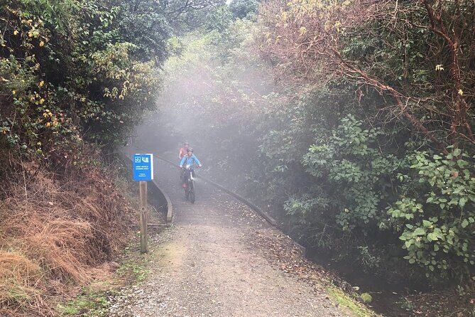 Scenic Spooners Tunnel Adventure in Nelson Tasman - A Deep Dive into the Nelson Tasman Cycle Adventure