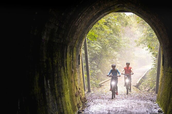 Scenic Spooners Tunnel Adventure in Nelson Tasman - Who Would Love This Tour?