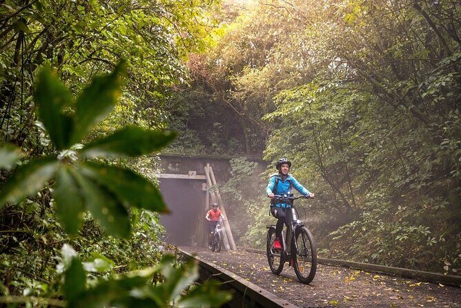 Scenic Spooners Tunnel Adventure in Nelson Tasman - FAQs