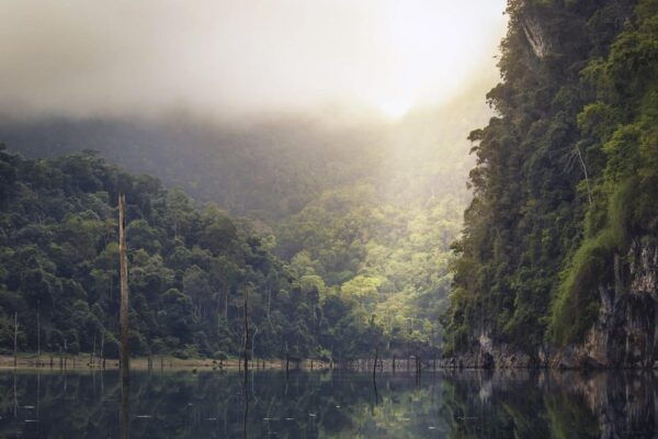 Scenic Sri Lanka 4-Day Tour - Important Travel Information