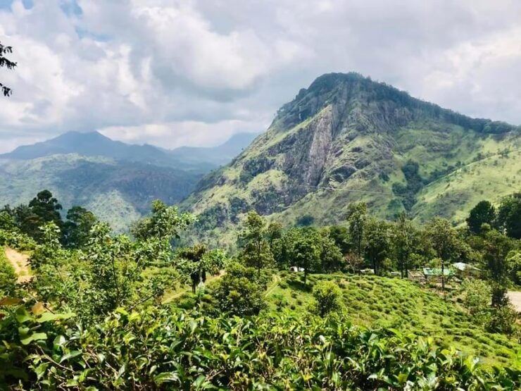 Scenic Sri Lanka 5 Days Tour - Day-by-Day Itinerary