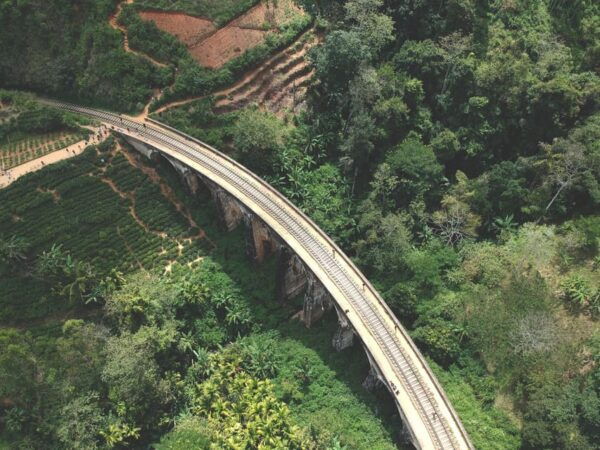Scenic Sri Lanka 5 Days Tour - Frequently Asked Questions