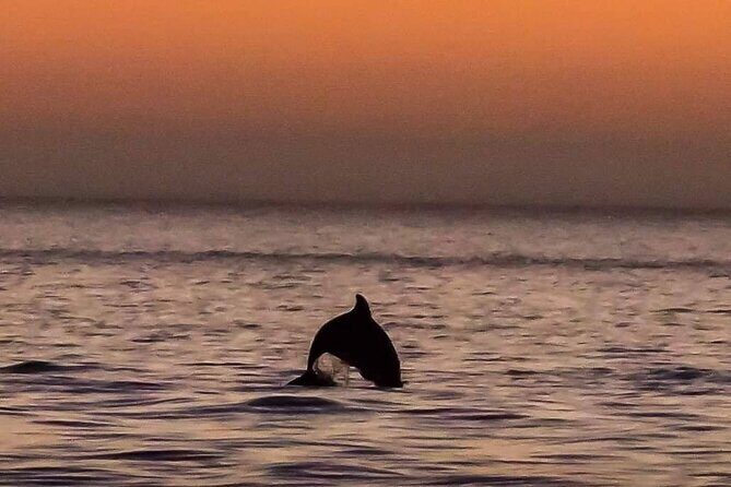 Scenic Sunset Cruise from Historic Johns Pass, Free Beer and Wine - Introduction