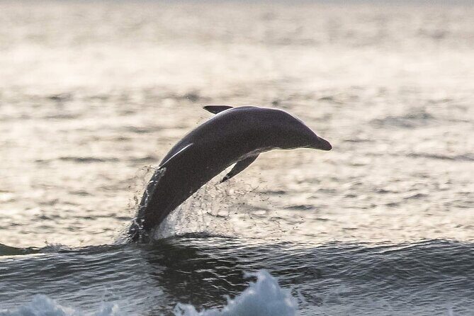 Scenic Sunset Cruise from Historic Johns Pass, Free Beer and Wine - The Experience in Detail
