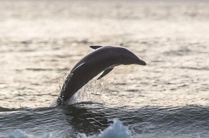 Scenic Sunset Cruise from Historic Johns Pass, Free Beer and Wine - The Sum Up