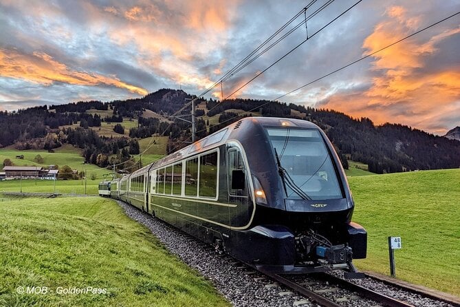 Scenic Swiss Experience Trip in One Day - Meeting and Pickup