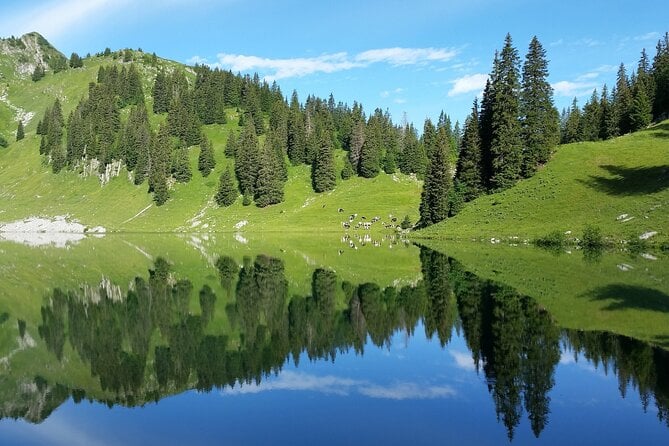 Scenic Swiss Experience Trip in One Day - Additional Information