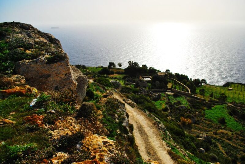 Scenic Tour by Vintage Bus to Buskett Garden & Dingli Cliffs - Good To Know