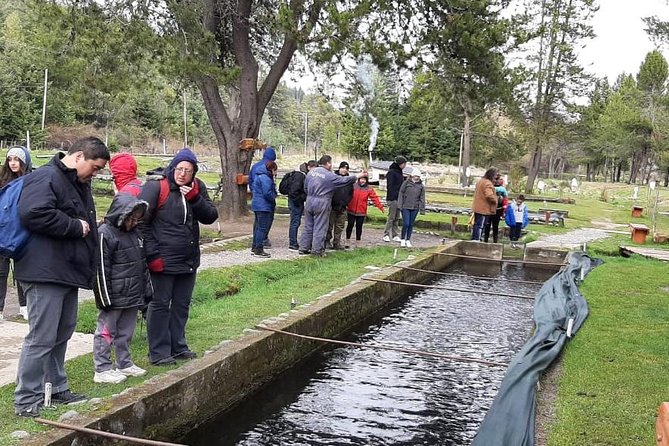 Scenic Tour: El Bolson and Puelo Lake - Puelo Lake: Natures Serene Gem