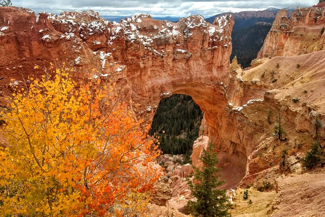 Scenic Tour of Bryce Canyon - Inclusions and Meeting Information
