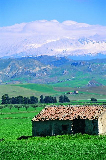 Scenic Tour of Etna Foot Hills and Alcantara Gorges - Activity Description
