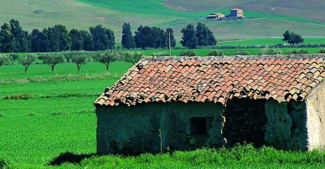 Scenic Tour of Etna Foot Hills and Alcantara Gorges - Itinerary Details