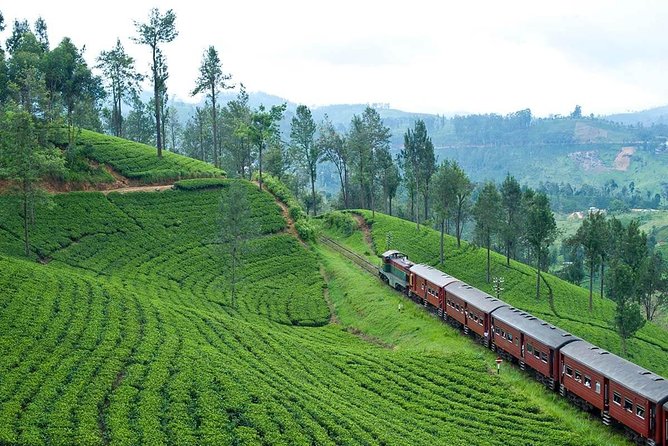 Scenic Train Ride Ella To Horton Plains National Park And Drop Nuwara Eliya - Pickup and Start Details