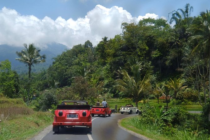 Scenic Ubud by Vintage Volkswagen 181 - What To Expect