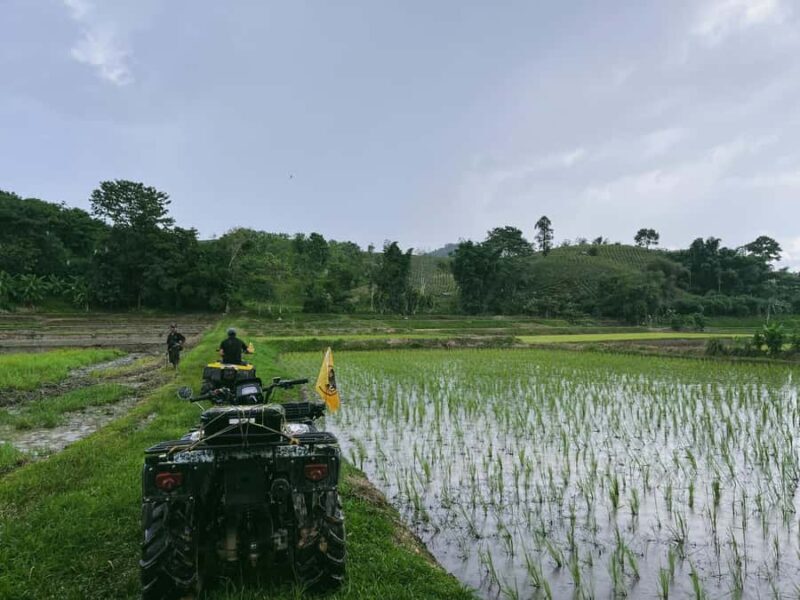 Scenic View ATV Tour and Pineapple Farm Visit in Chiang Rai - FAQs